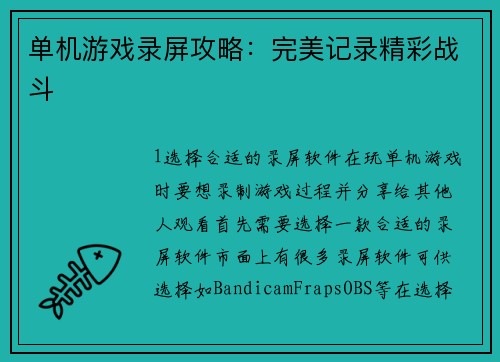单机游戏录屏攻略：完美记录精彩战斗